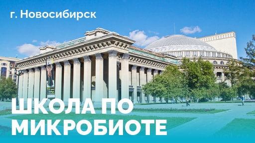 Школа Новосибирск
