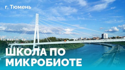 Школа Тюмень