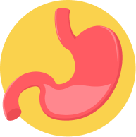 stomach