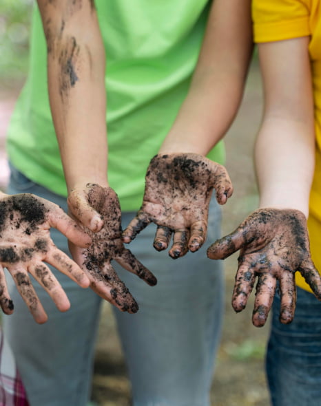 Антипаразитарная программа