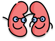 Пункт программы здоровья почек