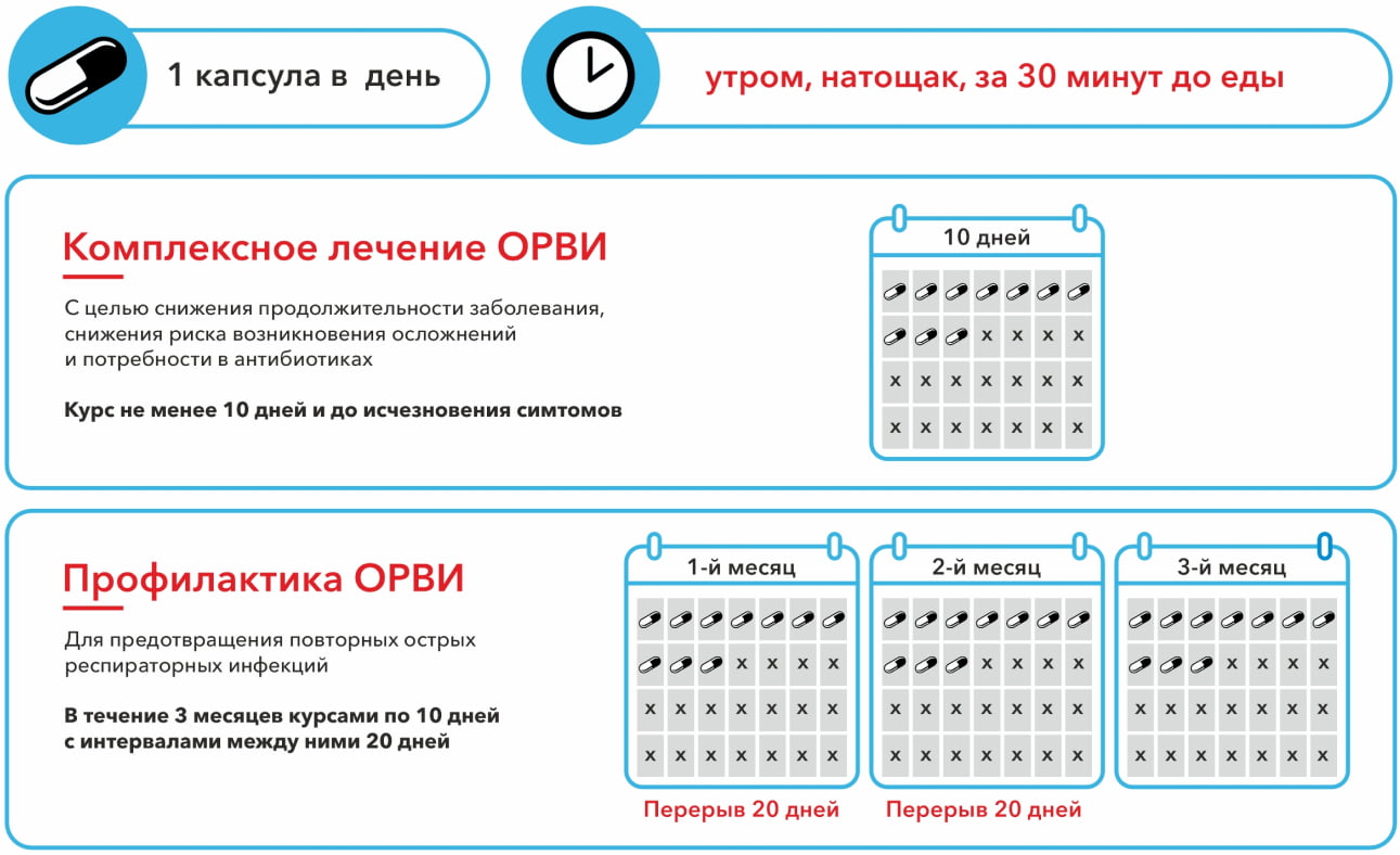 Схема приема ИммуноБиотик Extra