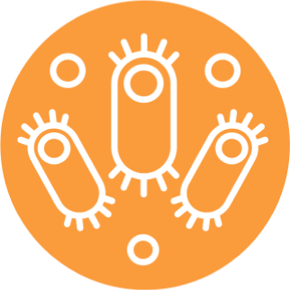 Бактериальные лизаты