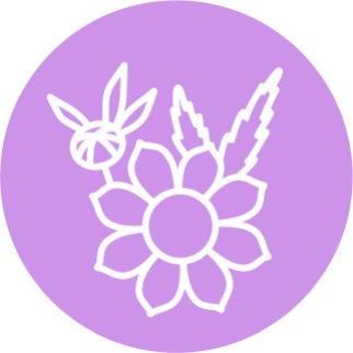 Трава Череды трехраздельной (Bidens tripartita)