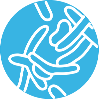 6 штаммов лактобактерий