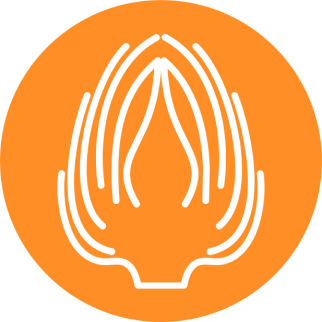 Артишок испанский (Cynara cardunculus)