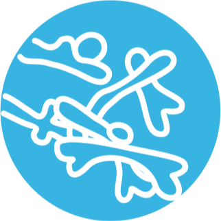 6 штаммов бифидобактерий