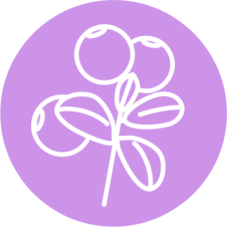 Сухой экстракт листьев Брусники (Vaccinium vitis-idaea)