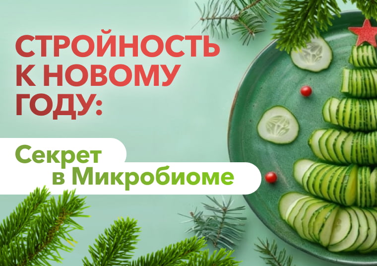 Стройность к Новому Году: Секрет в Микробиоме?