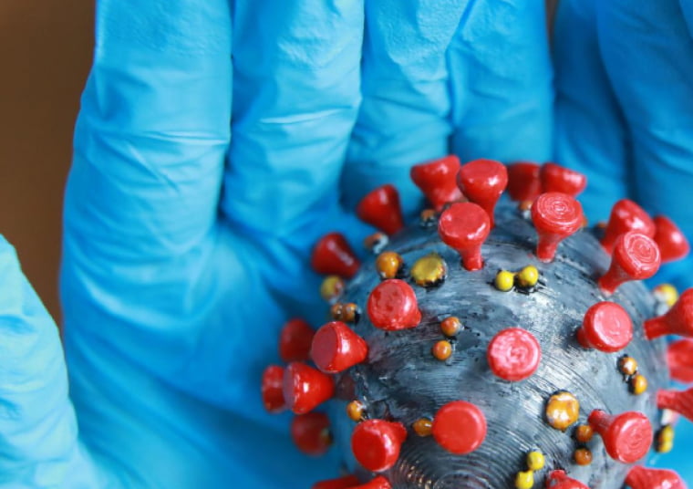 Противовирусная активность пробиотиков