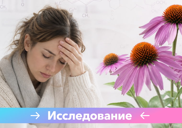 Иммуномодулирующий и противовирусный потенциал Echinacea spp.