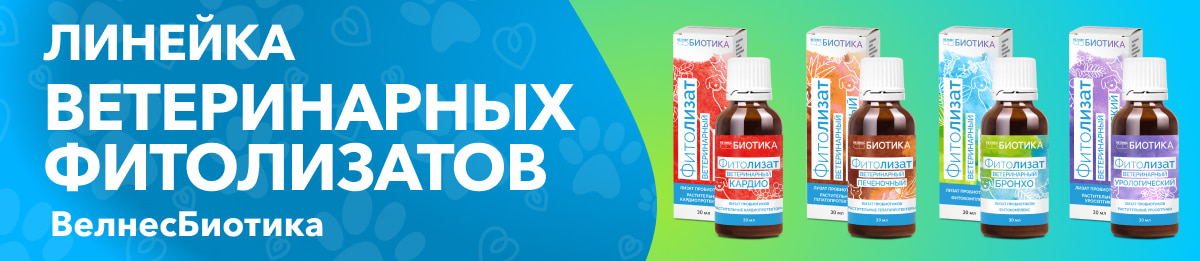 Изображение к новости