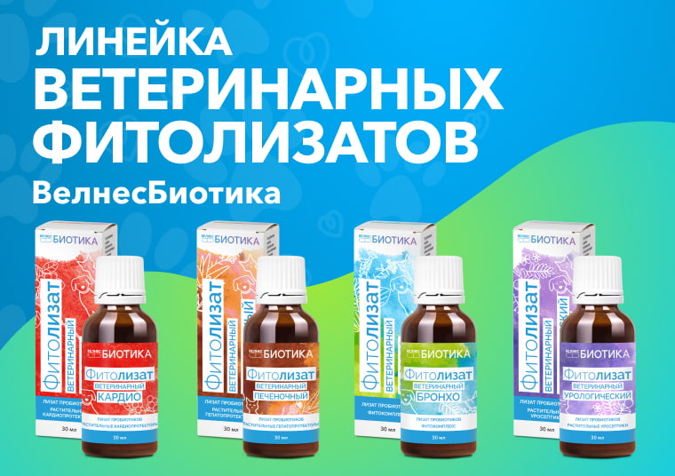 Микробиом питомца: что нужно знать владельцу