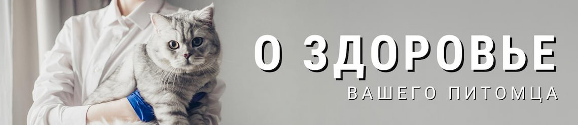 Изображение к статье