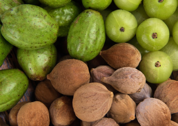 Трифала – царь всех лекарств