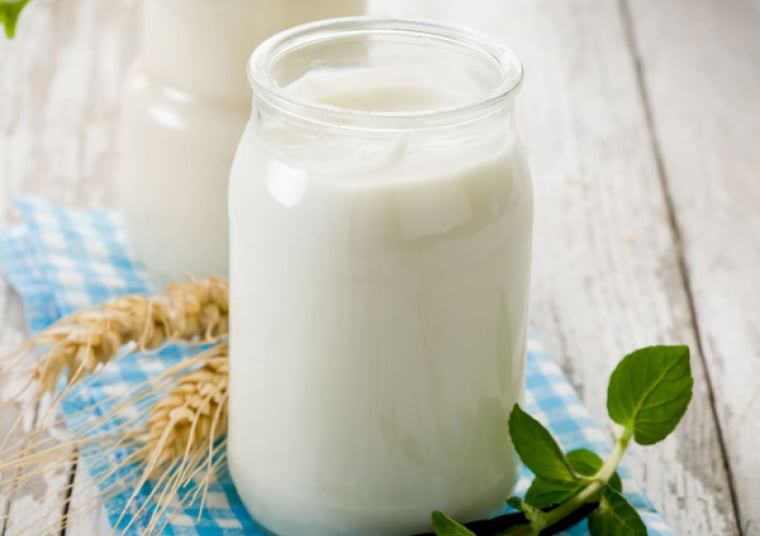 Лактобактерии – источник здоровья и долголетия