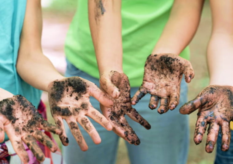 Детская Антипаразитарная программа