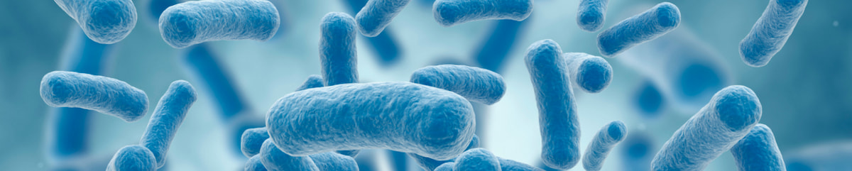 Изображение к статье