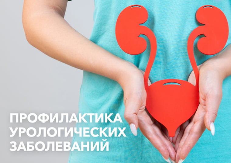 Профилактика урологических заболеваний. Уретрит и цистит – профилактика и схемы приема препаратов для восстановления микробиома